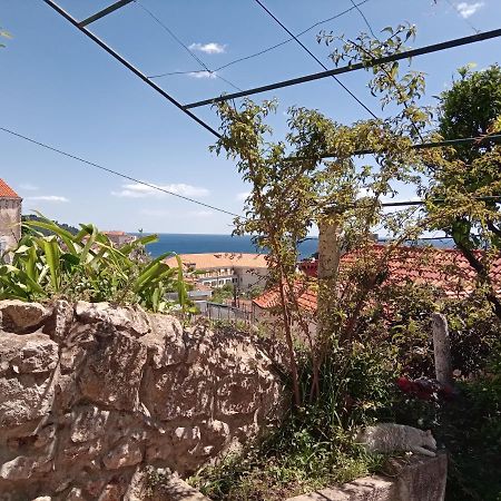 Summer Day Room Dubrovnik Eksteriør billede